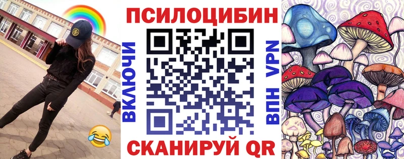 Псилоцибиновые грибы мицелий купить наркоту Гвардейск